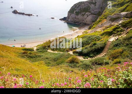 Man o' War Beach e la baia di St Oswalds si trovano vicino a Durdle Door sulla Jurassic Coast vicino a Lulworth nel Dorset, Inghilterra, Regno Unito Foto Stock