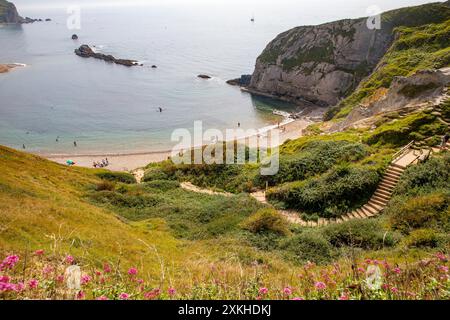 Man o' War Beach e la baia di St Oswalds si trovano vicino a Durdle Door sulla Jurassic Coast vicino a Lulworth nel Dorset, Inghilterra, Regno Unito Foto Stock