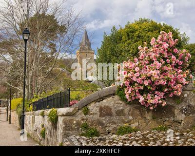 Uno scorcio della guglia della cattedrale di Dornoch vista da una delle strade tipicamente pittoresche della città incorniciate da fiori meravigliosamente colorati. Foto Stock