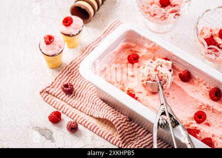 Yogurt surgelato ai lamponi fatto in casa, gelato o sorbetto con frutti di bosco freschi Foto Stock