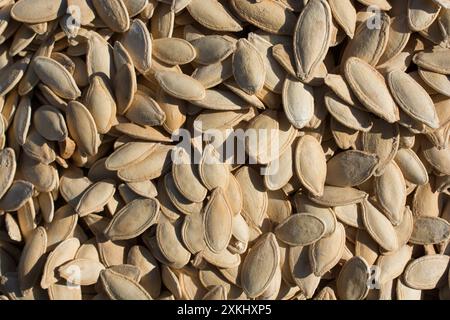 Quantità abbondante di sgranati Semi di zucca nella vista Foto Stock