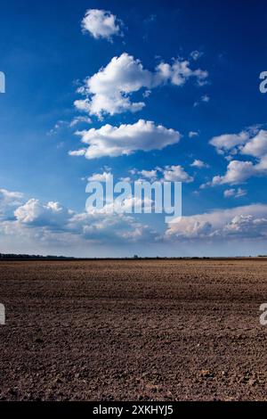 Cielo nuvoloso su un ampio campo appena arato. Foto Stock