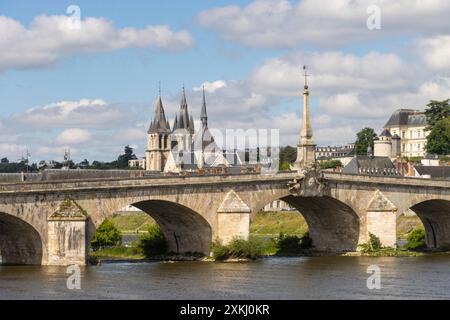 Vista panoramica della città medievale di Blois e del castello reale, château vista da Vienne attraverso la riva del fiume della Loira, Loir-et-Cher, Francia Foto Stock