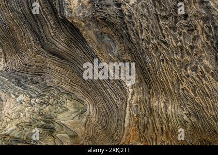 Questa accattivante fotografia mostra le formazioni rocciose uniche e intricate lungo la riva vicino a Saltstraumen, Bodø, Norvegia. Foto Stock
