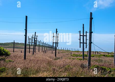 Stazione di ricezione radio marittima KPH, Point Reyes National Seashore, California, Stati Uniti Foto Stock