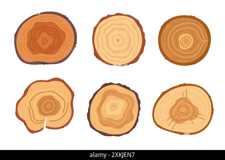 Tagli ad albero dei cartoni animati. Ceppi in legno con vista dall'alto in texture naturale. Bagagliaio con anelli. Industria del legname. Materiali di legno forestale. Pino rotondo. Legname Illustrazione Vettoriale