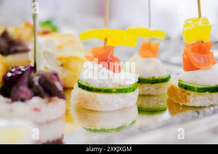 Primo piano di tartine assortite con salmone, formaggio spalmabile e cetrioli su un vassoio riflettente Foto orizzontale Foto Stock