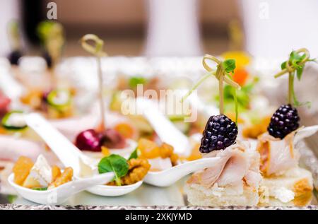 Stuzzichini e tartine assortiti a base di more e ingredienti freschi serviti su un vassoio decorativo color argento Foto Stock