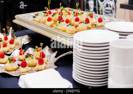 Tartine da dessert con lampone, formaggio spalmabile e mirtilli su vassoi d'argento e vassoio a forma di foglia, piatti bianchi, evento di catering Foto Stock