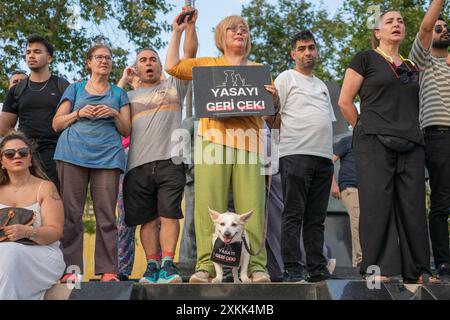 Istanbul, Turchia. 23 luglio 2024. Gli attivisti di destra animale hanno organizzato una manifestazione a Istanbul per protestare contro un disegno di legge redatto dal governo AKP del presidente Recep Tayyip Erdogan che mira a togliere i cani randagi dalle strade. I manifestanti temono che la legge comporti l'abbattimento di massa dei cani di strada, o l'eutanasia. Le persone e il cane portano segni con le parole “ritirare la legge”. Crediti: Ingrid Woudwijk/Alamy Live News Foto Stock