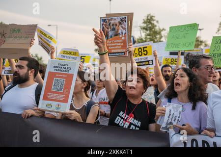 Istanbul, Turchia. 23 luglio 2024. Gli attivisti di destra animale hanno organizzato una manifestazione a Istanbul per protestare contro un disegno di legge redatto dal governo AKP del presidente Recep Tayyip Erdogan che mira a togliere i cani randagi dalle strade. I manifestanti temono che la legge comporti l'abbattimento di massa dei cani di strada, o l'eutanasia. Crediti: Ingrid Woudwijk/Alamy Live News Foto Stock