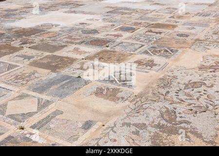 Pavimento a mosaico di ville romane a Cartagine, Tunisia Foto Stock