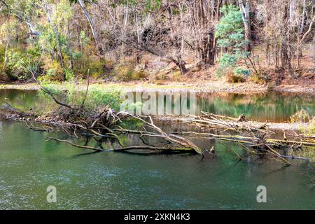 Fotografia di un piccolo fiume che scorre in una regione dell'entroterra delle Snowy Mountains nel nuovo Galles del Sud in Australia. Foto Stock