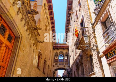 Splendida vista di un iconico ponte che collega due splendide strutture gotiche di Barcellona, evidenziando i dettagli artistici dell'architettura locale Foto Stock