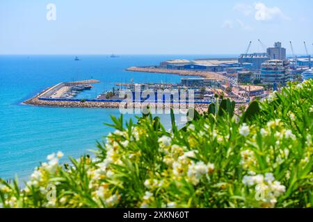 Tarragona, Spagna - 15 luglio 2024: Vivace vista costiera con fiori e spiaggia affacciata sul porto di Tarragona. Foto Stock