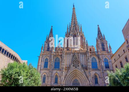 Barcellona, Spagna - 16 luglio 2024: Facciata e guglie gotiche della cattedrale in un vivace ambiente di Barcellona. Foto Stock