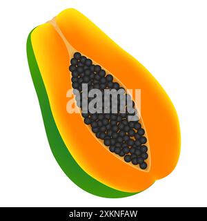 Papaia mezza matura isolata su fondo bianco. Illustrazione Vettoriale