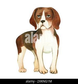 Cane Beagle, marrone brillante e nero disegnato a mano in acquerello. Illustrazione acquerello. Adatto per la stampa su tessuti, biglietti, inviti, libri Foto Stock