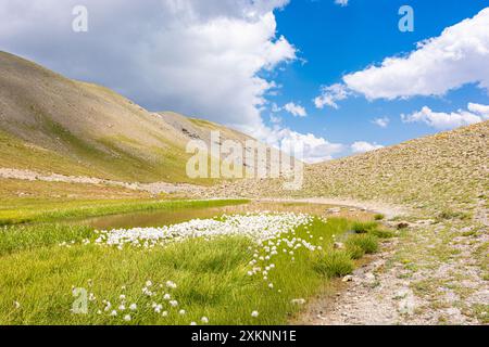 Vista panoramica delle Alpi francesi nel Parco Nazionale del Mercantour, nel sud della Francia, contro il cielo spettacolare Foto Stock