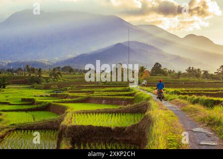 salutare la mattina con entusiasmo sulla strada per il risaie al sole Foto Stock