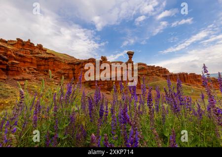 Camini delle fate rosse a forma di formazioni che hanno milioni di anni, Erzurum, Terra delle fate rosse Foto Stock