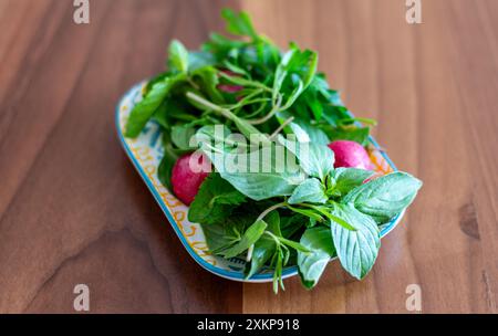 Piatto di erbe fresche. Foto Stock