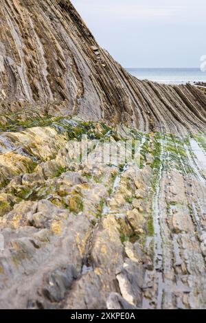 Serie di formazioni rocciose in sedimenti che alternano strati duri e più morbidi. Sakoneta Flysch, Deba, Gipuzkoa, Paesi Baschi, Spagna. Foto Stock