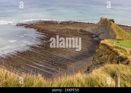 Vista aerea del flysch che entra nell'Oceano Atlantico, scogliere e prati verdi. Sakoneta Flysch, Deba, Gipuzkoa, Paesi Baschi, Spagna. Foto Stock