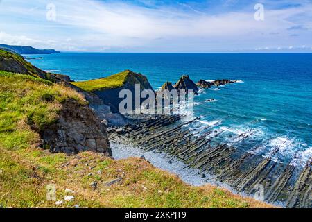 Linee frastagliate di scogli su una spiaggia con difficile accesso vicino a Hartland Quay sulla SW Coast Path, Devon, Inghilterra, Regno Unito Foto Stock