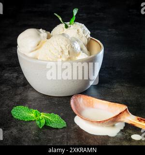 Gelato alla vaniglia servito in una ciotola Foto Stock
