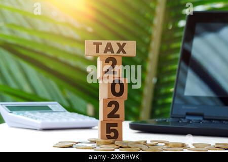 Blocchi di legno con l'iscrizione Tax 2024, monete, calcolatrice e laptop sullo sfondo Foto Stock