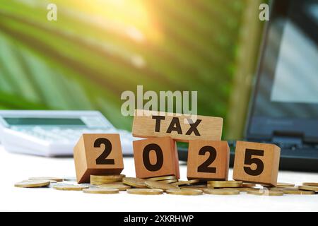 Blocchi di legno con l'iscrizione Tax 2024, monete, calcolatrice e laptop sullo sfondo Foto Stock