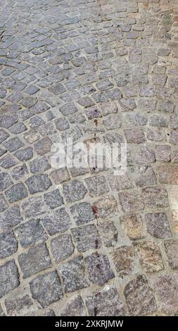 La sottile linea rossa. Le strade acciottolate della Medina a Essaouira in Marocco, il giorno della celebrazione di Eid e della macellazione di pecore. Foto Stock