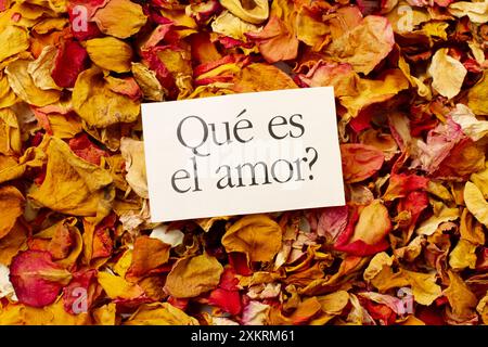 Un biglietto bianco con una frase su un potpourri di fiori di colori (trad. Cos'è l'amore) Foto Stock