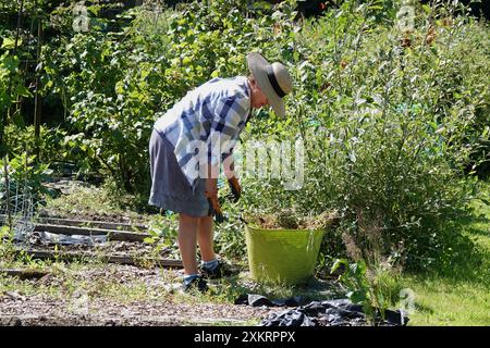 Una donna anziana che lavora nel suo giardino o in un giorno d'estate di sole Foto Stock