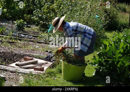 Una donna anziana che lavora nel suo giardino o in un giorno d'estate di sole Foto Stock