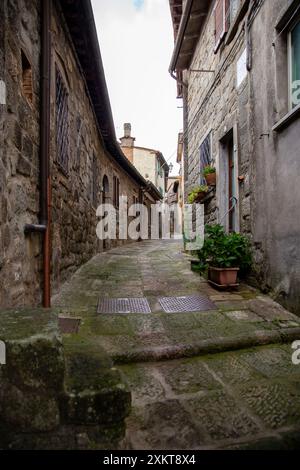 Caratteristica strada lastricata del paese, con piante e fiori, tra le vecchie case in pietra, zona Monte Amiata, Siena, Toscana, Italia Foto Stock