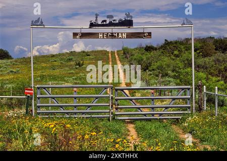 Cancello del ranch in ferro battuto sulla strada Texas 70 nella regione di Great Plains vicino a Dickens nella contea di Dickens, Texas, Stati Uniti Foto Stock