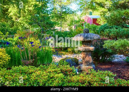 Sereno giardino giapponese con Lanterna di pietra e fiori di Iris blu al tramonto Foto Stock