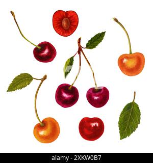 Ciliegia matura fresca con elementi in foglie. Immagine disegnata a mano con acquerello, isolata su sfondo bianco Foto Stock