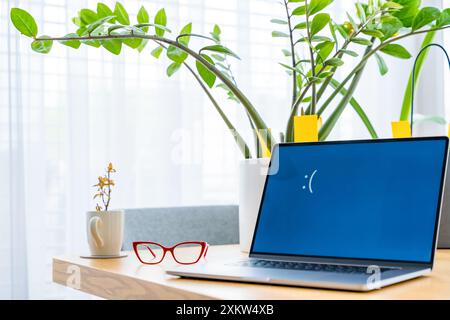 Monitor per laptop SAD con schermata blu errore sulla scrivania dell'ufficio domestico con piante decorative e occhiali rossi Foto Stock