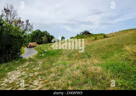 Aereo, Un trattore rosso trasporta balle di fieno su una stretta strada di campagna, circondata da lussureggianti campi verdi. Vista drone, punto di vista Foto Stock