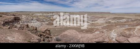 Vista panoramica del paesaggio del Parco Nazionale della Foresta pietrificata dal sentiero Blue Mesa nel Parco Nazionale della Foresta pietrificata, Arizona, USA, su 17 Apri Foto Stock