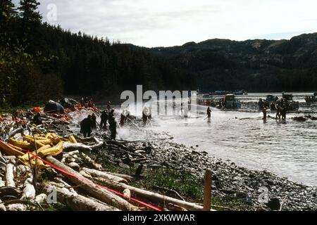 Fuoriuscita di petrolio - pulizia dopo Exxon Valdez, petroliera, Foto Stock