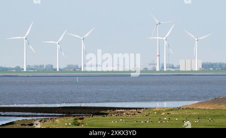 Turbine eoliche e oche migranti di Barnacle Foto Stock