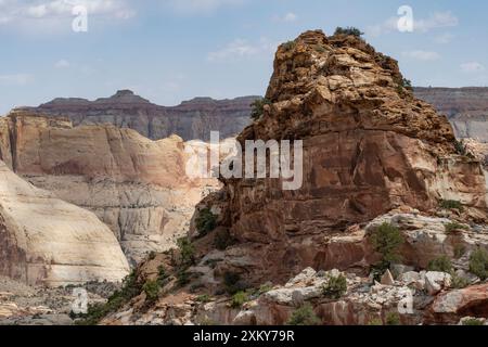 Monolite lungo il Fryingpan Trail, Capitol Reef National Park, Utah Foto Stock