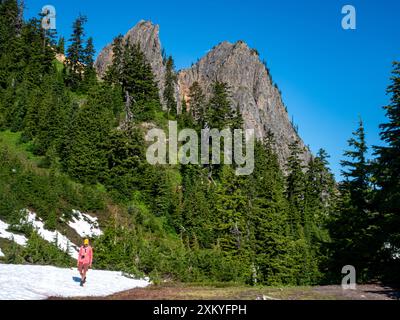 WA25525-00...WASHINGTON - escursionismo a nord del lago Sally Ann sul Pacific Crest Trail nell'Henry M Jackson Wilderness. Foto Stock