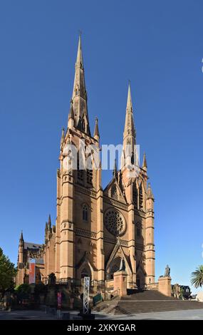 Architettura, Sydney, Australia, Vista frontale dello stile neogotico, Cattedrale di St Mary, al sole del pomeriggio Foto Stock