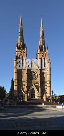 Sydney, Australia, St Mary's Cathedral, un'elevazione frontale completa della chiesa cattolica in stile neogotico al sole del pomeriggio e al cielo azzurro Foto Stock