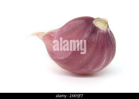 Singolo spicchio d'aglio fresco di colore rosso-marrone e stelo bianco isolato su sfondo bianco, illuminato dal lato destro Foto Stock
